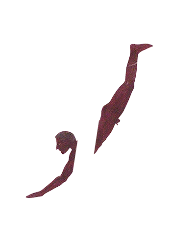 Campania Artecard 365 Gold